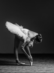 Young beautiful ballerina posing in studio - 141057431