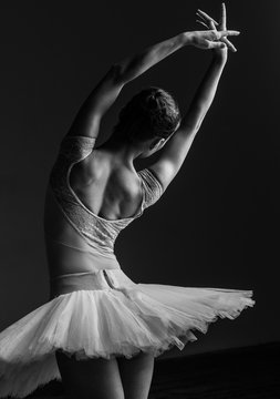 Fototapeta Young beautiful ballerina posing in studio