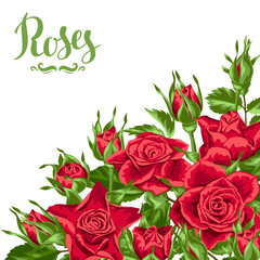 Background with red roses. Beautiful realistic flowers, buds and leaves