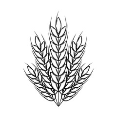 wheat ears icon over white background. vector illustration