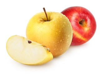 Isolated wet apples. Whole yellow (golden) and red apple fruits with slice isolated on white, with clipping path