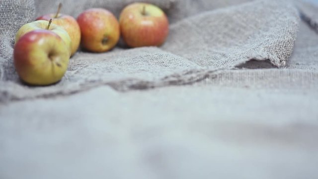 the apples on the background of the canvas.
