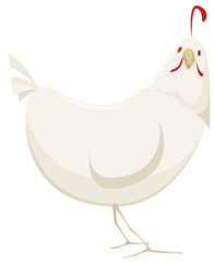 poule blanche inquiète