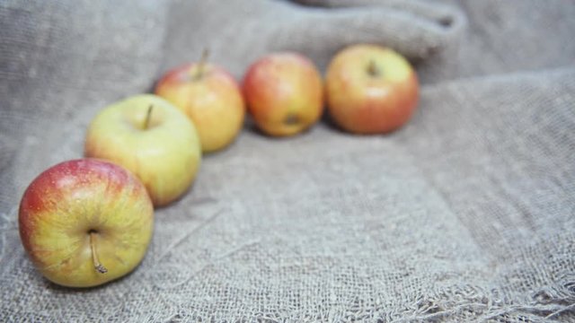 the apples on the background of the canvas.