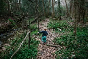 Child walking in the woods
