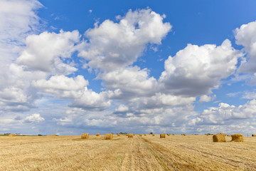 Harvest landscape with straw bales amongst fields in autumn, Belarus