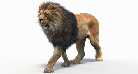 Lion (3d) © ANDRANIK