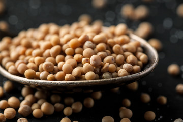 White mustard seeds in metal spoon on a black wooden table, macro shot, selective focus