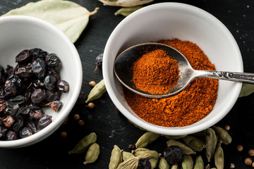 Paprika powder in a white ceramic bowl with metal spoon, top view, selective focus