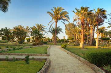 Fototapeta na wymiar Walkway in a beautiful Park with palm trees