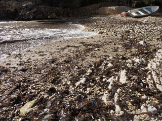 Frühling auf Mallorca