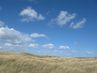 Fototapeta premium Clouds Grassland
