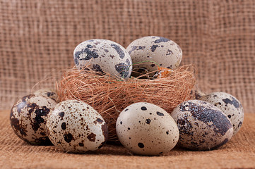 Quail organic eggs with straw in nest on rustic wooden background