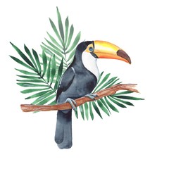 Toucan on branch. Watercolor illustration