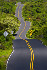 Curves and winding road, Maui, Hawaii
