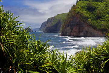Pololu lookout coastline at North Kohala, Big Island, Hawaii