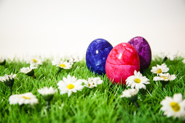 Bunte Ostereier auf Wiese - Thema Ostern oder Osterfest vor weißem Hintergrund