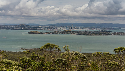 Blick von Rangitoto Island in Richtung der Skyline von Auckland /Neuseeland