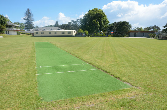 Cricket Pitch