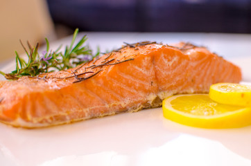 Grilled salmon and vegetables 