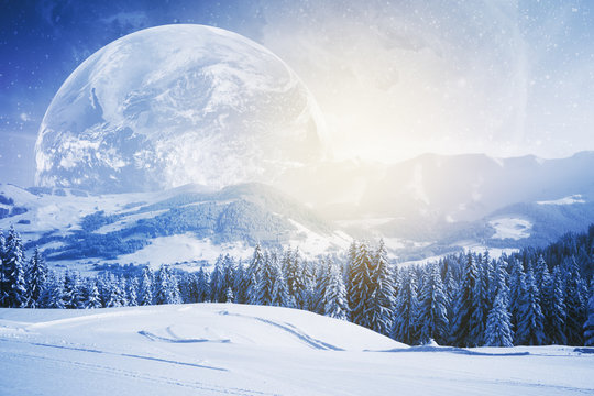 Fototapeta Beautiful winter wallpaper