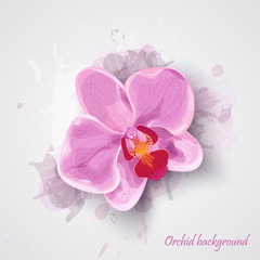 Orchid pink flower. vector illustration