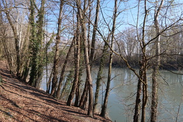 Vue sur une rivière grenobloise