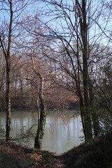 Vue sur une rivière grenobloise
