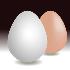 Two vector realistic eggs