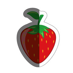 strawberry fruit icon over white background. vector illustration
