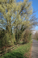 Petit parc en pleine nature