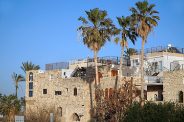 Naklejka premium Middle eastern style old stone houses with palm trees