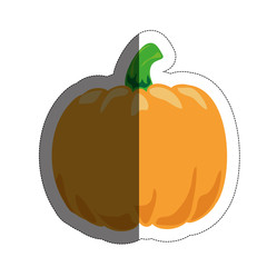pumpkin vegetable icon over white background. vector illustration