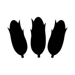 corns vegetable icon over white background. vector illustration