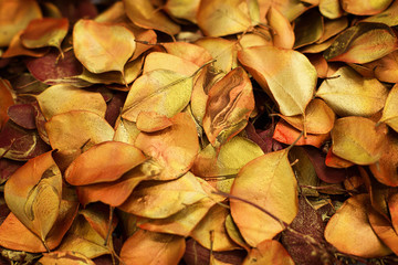 Beautiful materials for stunning handmade crafts