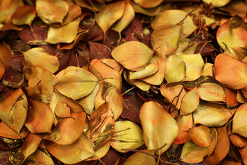 Beautiful materials for stunning handmade crafts