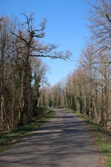 Chemin au bord de l'eau