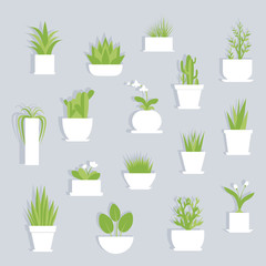 Houseplants vector flat set isolated. Plants in white flower pots with shadow on gray background.
