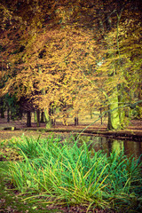 Colorful autumn in park.