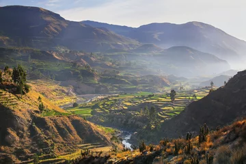 Deurstickers Canyon Uitzicht op Colca Canyon met ochtendmist in Peru