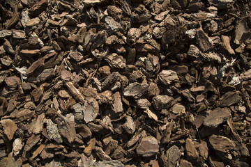 Pine bark mulch background texture