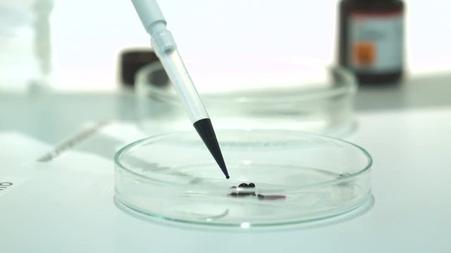 exp&eacute;rience en laboratoire 