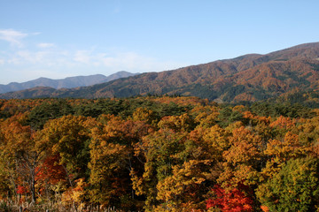 紅葉した山
