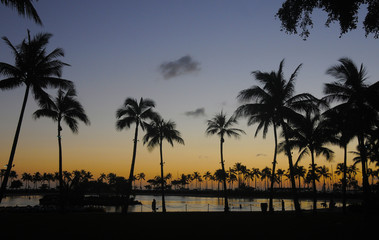 Fototapeta na wymiar Waikiki Lagoon Oahu Sunset Cocopalm Reflections Hawaii Hawaiian