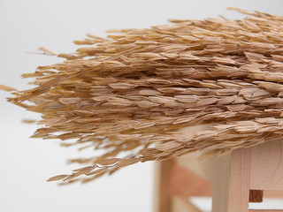 Closeup Raw organic paddy rice on wooden table.