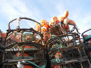 Crab Pots