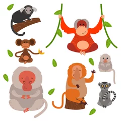 Fotobehang Different types of monkeys rare animal vector set. © creativeteam