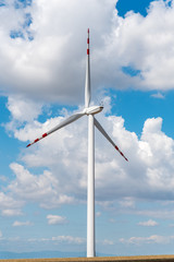 Windmills on the field