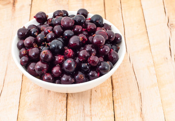 Sweet Ribes berry in white cup on wooden plank background