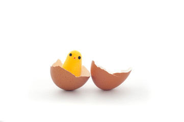 Small chicken toy in brown broken chicken egg shell